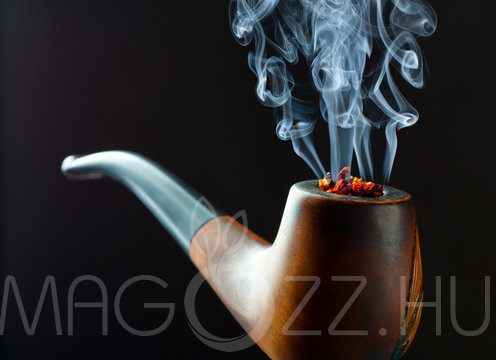 Virginiai Dohány'Virginia Tobacco'!400db mag