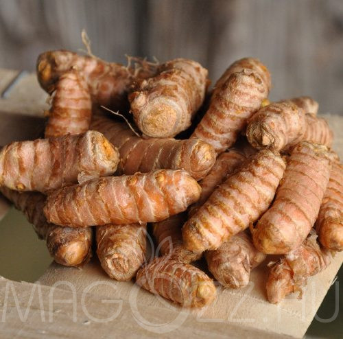 Kurkuma(Curcuma longa)!10db rizóma