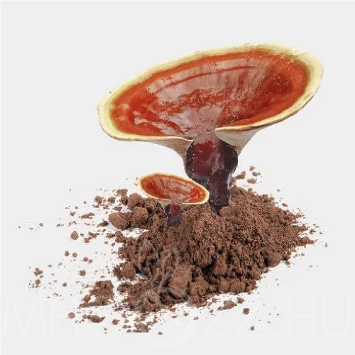 BIO PECSÉTVIASZ GOMBA ŐRLEMÉNY (GANODERMA LUCIDUM)20g
