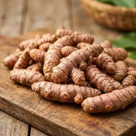 Kurkuma (Curcuma longa)!6db rizóma
