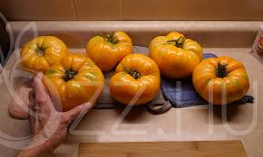 Óriás Yellow Beefsteak "Kellogg's breakfast" paradicsom !15db mag