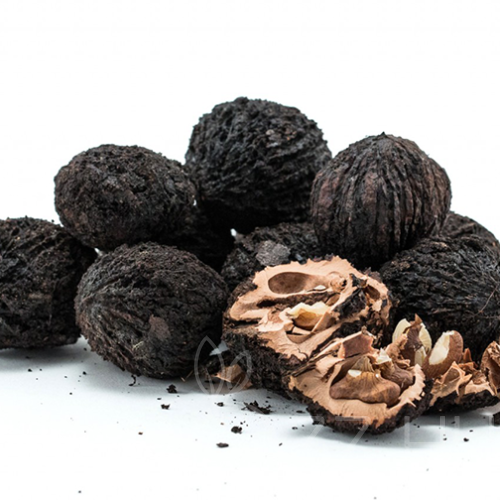 Fekete dió (Juglans nigra)!2db mag