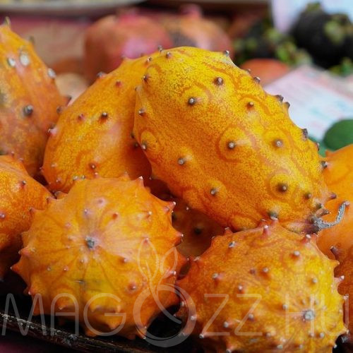 Afrikai uborka/Kiwano /'Cucumis metuliferus'!10db mag