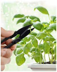 Bonsai trimmelő olló!1db
