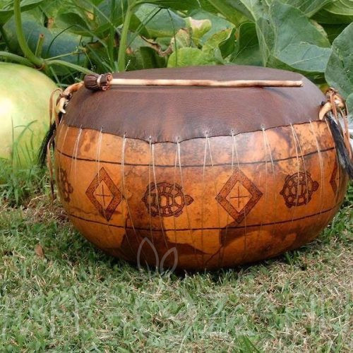 Giant African Bushel Gourd (Lagenaria siceraria)!2db mag