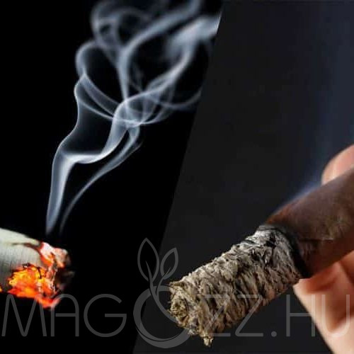 Kentucky Dohány 'Kentucky Tobacco'!1000db mag