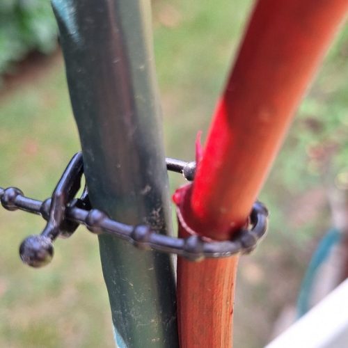 Golyós palánta örök kötöző!20db