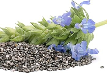 CHIA (Salvia hispanica)!200db mag