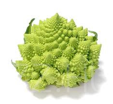 Brokkoli Romanesco (Brassica oleracea 'Romanesco')!6db mag