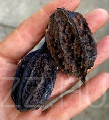 Szürke dió,Vajdió(juglans cinerea) 2db mag