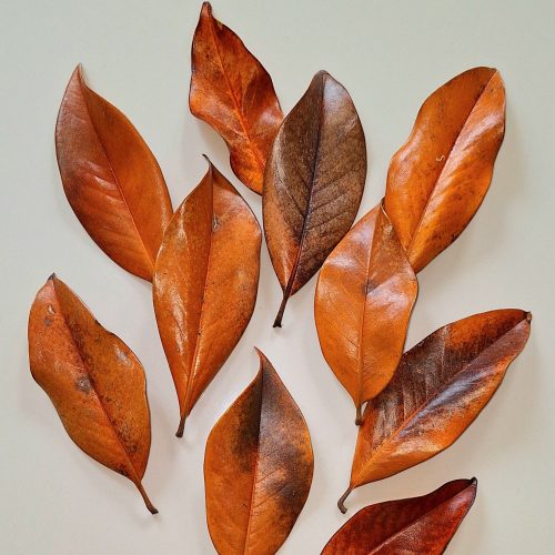 Dekor díszlevél 10db