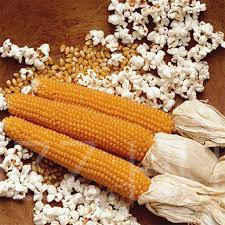 Bio Pattogtatni való Popcorn kukorica 1 evőkanálnyi