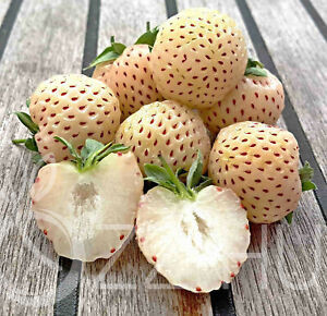 Pineberry fehér (eper)szamóca  különlegesség 10db mag