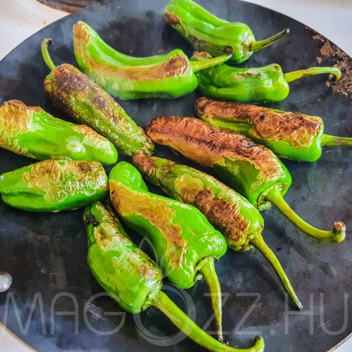 Pimientos de padrón paprika!5db mag