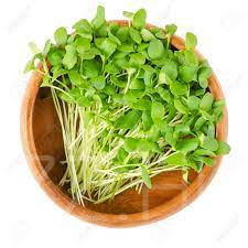 Csíranövény Bio Len (Linum)15g