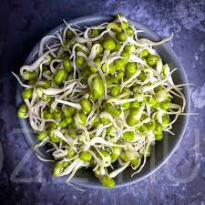Csíranövény Bio Mungobab (Vigna radiata)20g
