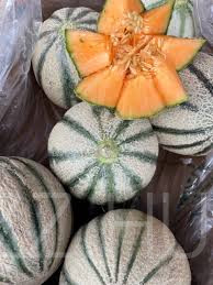 Kantalup (Cantaloupe) Sárgadinnye 15db mag